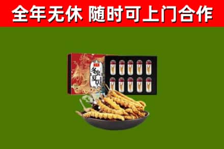 泾川回收冬虫夏草价格