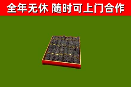 泾川回收海参